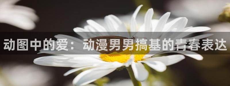 樱花动漫免费入口在哪儿：动图中的爱：动漫男男搞基的青春表达