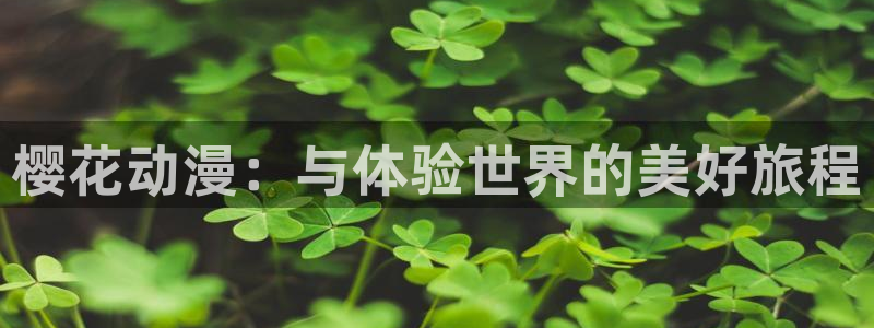 铠甲勇士樱花动漫在线看