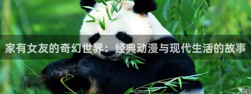 樱花动漫 6