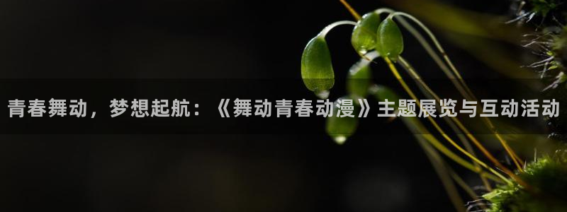 樱花动漫海贼王
