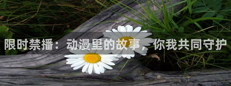 樱花动漫网专注动漫的门户网站