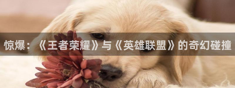 樱花动漫免费看九天玄地决