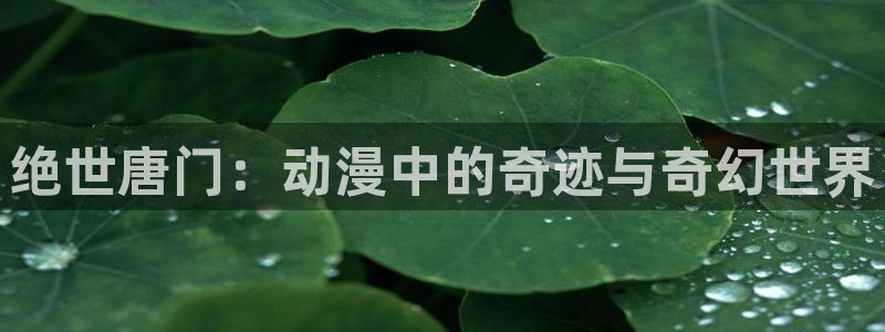 幽灵公主樱花动漫