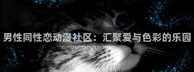 光速跑者21号樱花动漫