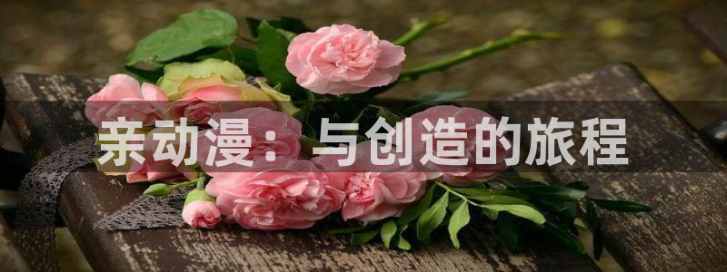 笨拙之极的上野樱花动漫免费观看：亲动漫：与创造的旅程