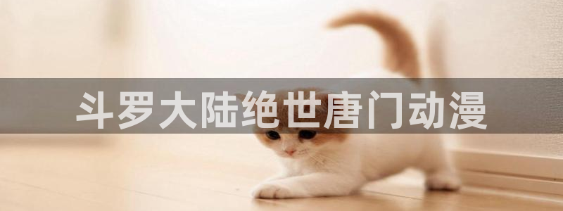 罗曼蒂克樱花动漫：斗罗大陆绝世唐门动漫