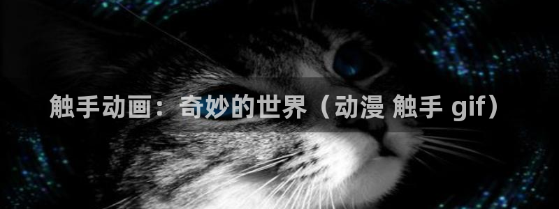 高达樱花动漫免费看：触手动画：奇妙的世界（动漫 触手 gif）