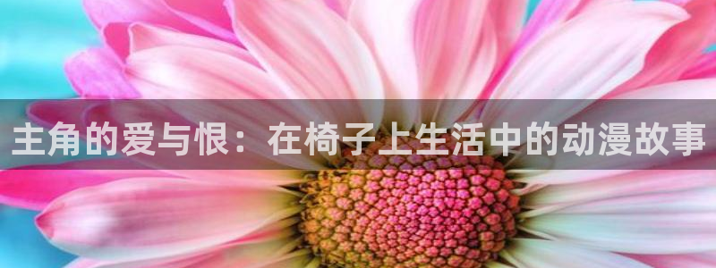 樱花动漫圣：主角的爱与恨：在椅子上生活中的动漫故事