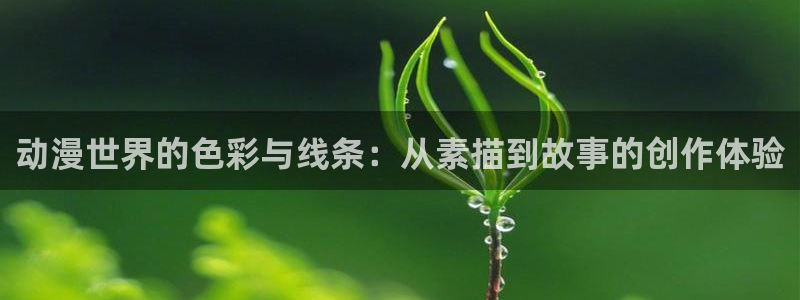 樱花动漫在线观看全集免费高清版：动漫世界的色彩与线条：从素描到故事的创作体验