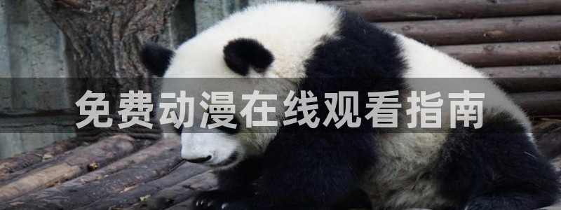 frontincent樱花动漫在哪看：免费动漫在线观看指南