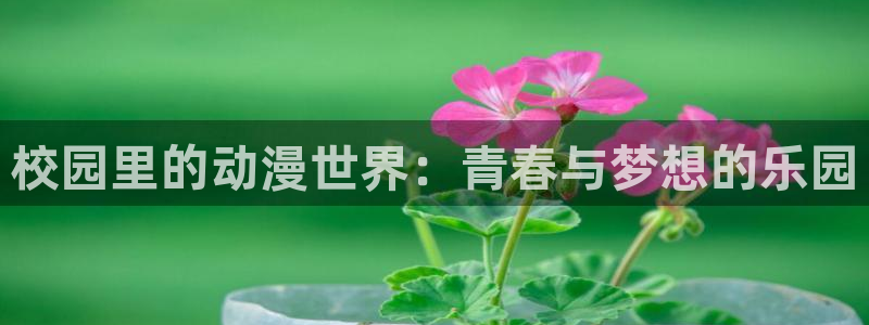 免费动漫——樱花动漫：校园里的动漫世界：青春与梦想的乐园
