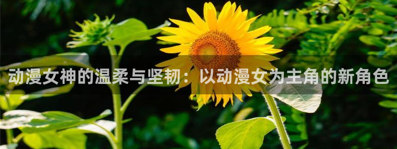 樱花动漫在线观看网页版：动漫女神的温柔与坚韧：以动漫女为主角的新角色