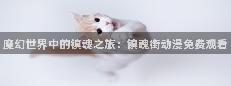 jojo在线观看樱花动漫：魔幻世界中的镇魂之旅：镇魂街动漫免费观看