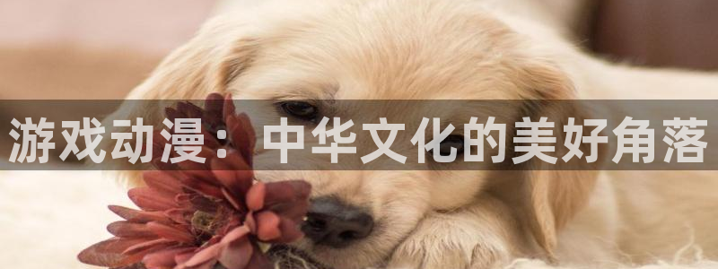 国产动漫樱花动漫：游戏动漫：中华文化的美好角落