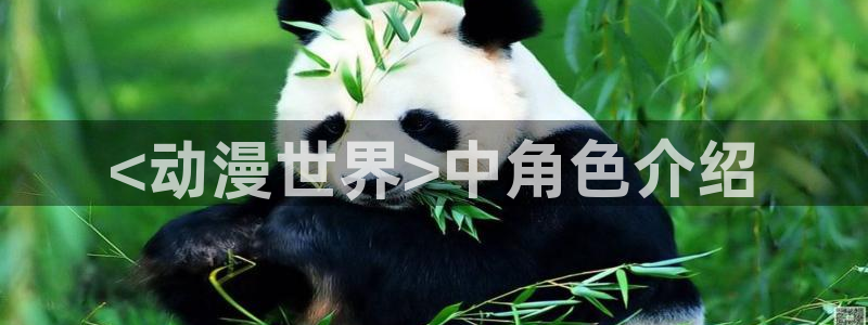 航海王 樱花动漫：<动漫世界>中角色介绍