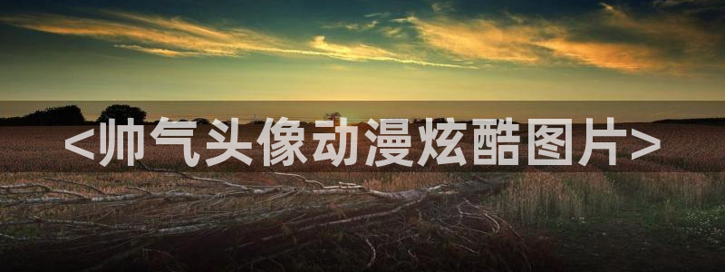 .com樱花动漫：<帅气头像动漫炫酷图片>