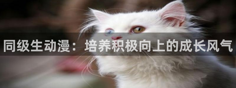 竹夫人樱花动漫：同级生动漫：培养积极向上的成长风气