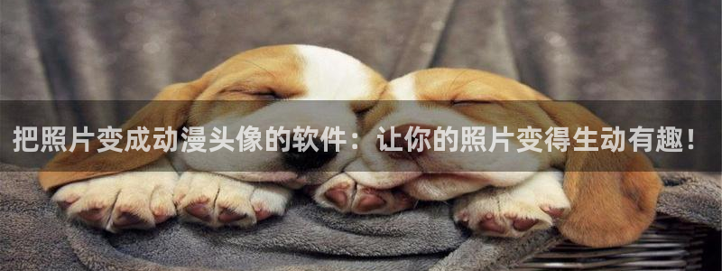 .樱花动漫：把照片变成动漫头像的软件：让你的照片变得生动有趣！