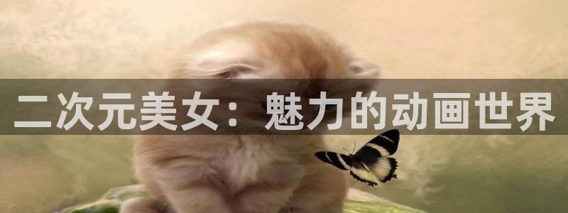食戟之灵第四季樱花动漫