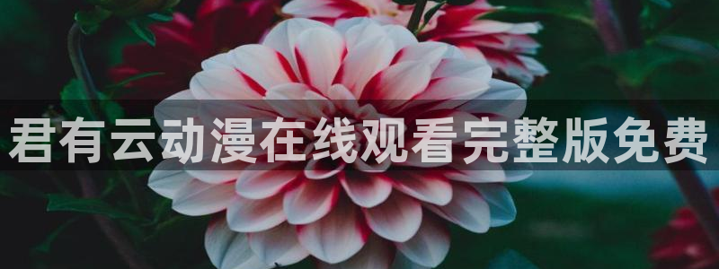 15美少女漂流记樱花动漫
