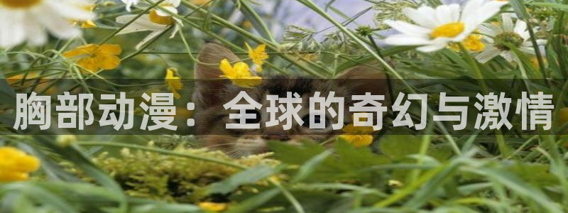 纯洁轮舞曲樱花动漫