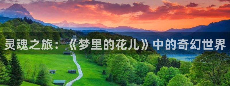 火魅子传动漫樱花动漫免费观看：灵魂之旅：《梦里的花儿》中的奇幻世界
