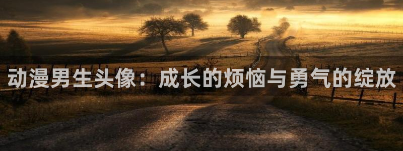 名侦探柯南免费观看樱花动漫：动漫男生头像：成长的烦恼与勇气的绽放