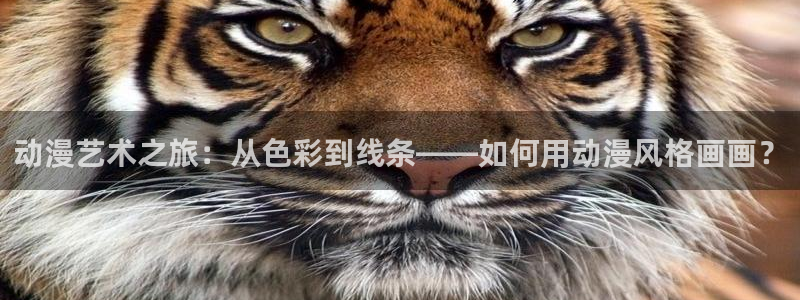 向日葵在夜晚绽放樱花动漫：动漫艺术之旅：从色彩到线条——如何用动漫风格画画？