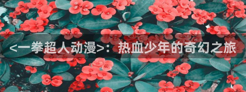樱花动漫官网官方入口：<一拳超人动漫>：热血少年的奇幻之旅