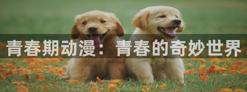 樱花动漫new：青春期动漫：青春的奇妙世界