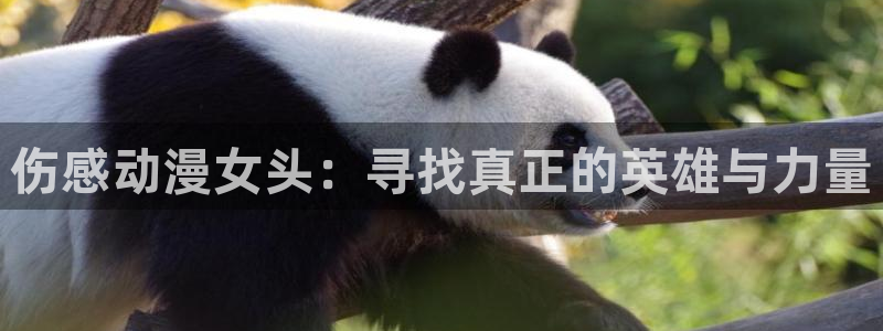 米拉小姐樱花动漫：伤感动漫女头：寻找真正的英雄与力量