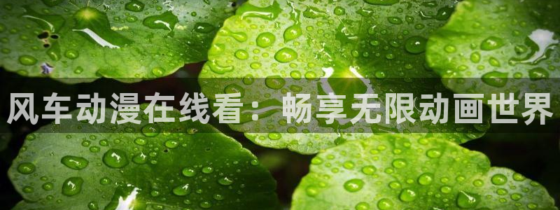 刃牙樱花动漫：风车动漫在线看：畅享无限动画世界