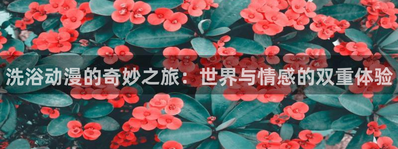 葫芦兄弟樱花动漫：洗浴动漫的奇妙之旅：世界与情感的双重体验