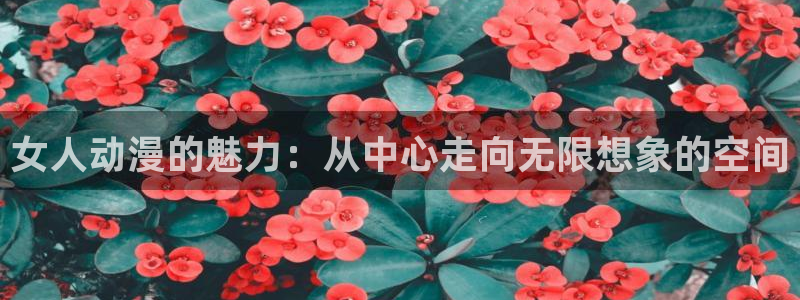 乱马12樱花动漫：女人动漫的魅力：从中心走向无限想象的空间