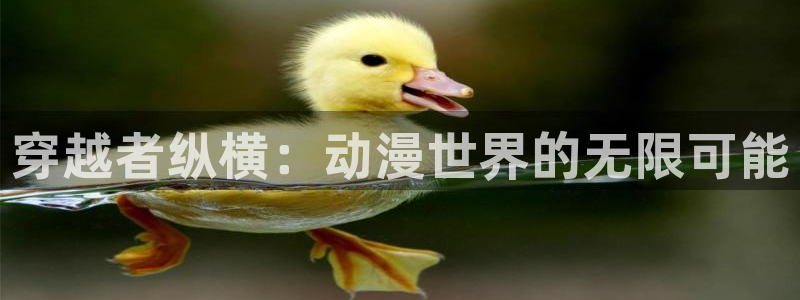 樱花动漫网软件：穿越者纵横：动漫世界的无限可能