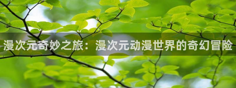 yhdm樱花动漫：漫次元奇妙之旅：漫次元动漫世界的奇幻冒险