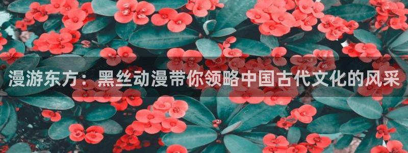 免费樱花动漫在线观看：漫游东方：黑丝动漫带你领略中国古代文化的风采
